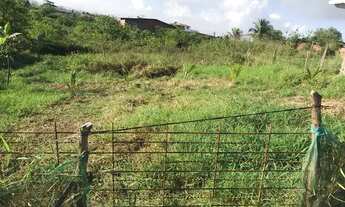 Imagem 6: Vendo Terreno em Tiuma/ São Lourenço da Mata