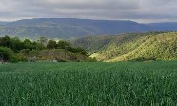 Imagem: Fazenda/Sítio/Chácara para venda possui