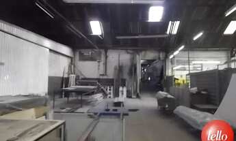 Imagem 3: São Paulo - Galpão/Depósito/Armazém - Vila Matilde