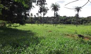 Imagem 6: Lindo baixadão de 4.5 ha, as margens do rio. Jaboticatubas (Temos varias opções)