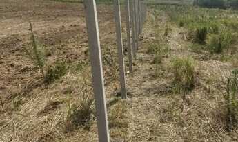 Imagem 2: Chacara Chácara com venda por R$100.000