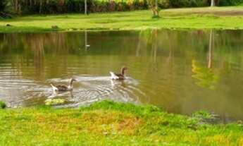 Imagem 2: Sítio/Chácara para venda com 22000 m²