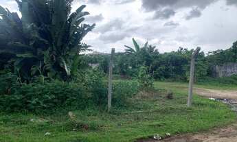 Imagem 5: Terreno Amazon Garden