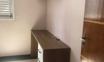 Imagem 7: Apartamento Padrão para Aluguel em Vila Gilda Santo André-SP - AL 146