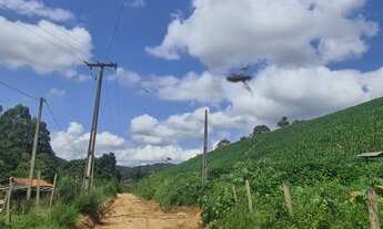 Imagem 5: TERRENO COM 8 ALQUEIRES DE TERRA COM NASCENTE OTIMA LOCALIZAÇÃO