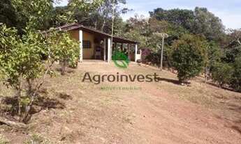 Imagem 4: Fazenda em Ipameri - GO