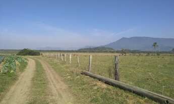 Imagem 2: Fazenda de 85 hectares a 35 mil o hectare