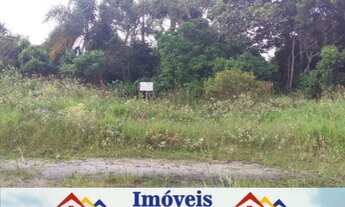 Imagem 4: Vendo lote em avenida na Praia do Ervino