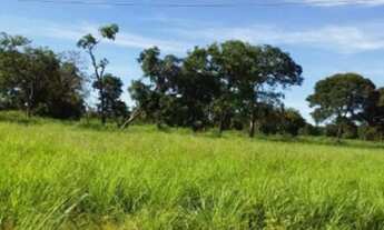 Imagem 6: Vende-se uma fazenda de 143 hectares