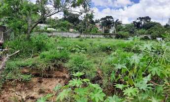 Imagem 6: Terreno para Chacara em Suzano de esquina - 1.600 m² com nascente