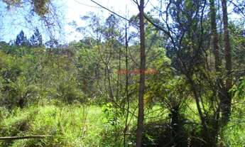 Imagem 5: Mogi das Cruzes - Sítio - Jundiapeba