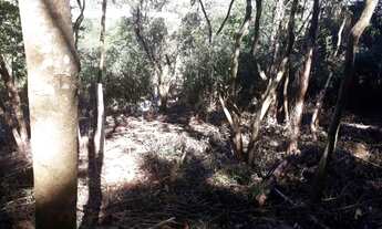 Imagem 6: Áreas na Praia de Fora, Para Casa, Chácara ou Sítio Próximo do Mar