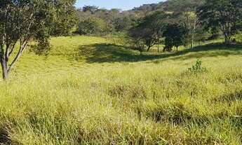 Imagem 4: ESTRUTURA PARA PECUÁRIA!!!AGUA DE NASCENTE!!!90% PASTAGEM!!! 35 KM DO AEROPORTO!!!