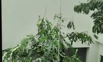 Imagem 7: Shopping para aluguel possui 130 metros quadrados em Portais (Polvilho) - Cajamar - SP