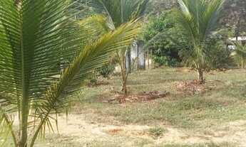 Imagem 2: Vendo sitio em Santa Cruz águia branca