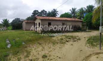 Imagem 6: Fazenda no Pará - São Francisco do Pará