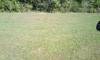 Imagem: Oportunidade! Vende-se uma excelente fazenda