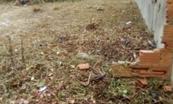 Imagem 5: Cod 2312 Terreno Plano - Ouro Verde com 392m² 14 X 28