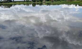 Imagem 2: Chácara em Morada Nova/MG de 1000mil metros, ideal para pescadores