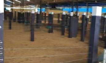 Imagem 6: Fazenda com 3 dormitórios à venda, 75000 m² por R$ 5.200.000,00 - Zona Rural - São Gonçalo