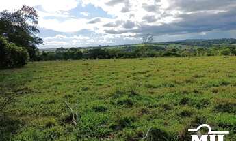 Imagem 2: Chácara em Cromínia-GO. > 5 Alq. (24,2 Há