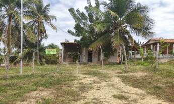 Imagem 6: Sítio no povoado Tigre, Pacatuba-SE