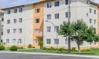 Imagem 2: Apartamento 3 quartos no Bairro Afonso Pena em São Jose dos Pinhais PR