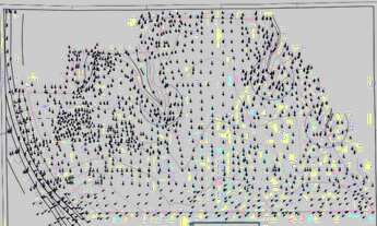 Imagem 2: Terreno BR 364 Porto Velho - RO