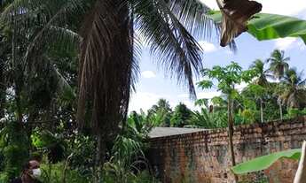 Imagem 6: Mata de São João propriedade