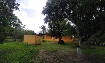 Imagem 5: Sítio com Sete tarefas e meia na matinha