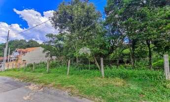 Imagem 3: Terreno com 1189,30 m² no bairro Rio Pequeno em São José dos Pinhais PR