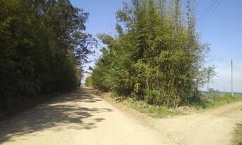 Imagem 7: Fazenda de 85 hectares a 35 mil o hectare