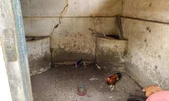 Imagem 5: Excelente oportunidade!!! Vendo ótima fazenda escriturada a 18km de Luziânia