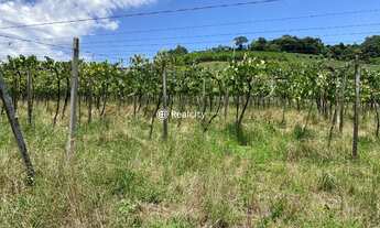 Imagem 6: GARIBALDI - Padrão - Interior