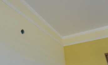 Imagem 4: Casa no Bairro Jardim Petrópolis na cidade de Bauru