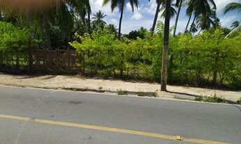 Imagem 5: Beira-mar/Casa para venda possui 270m2 e área com 10.000m2 com 5/4 - Japaratinga - AL/ Reg