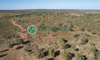 Imagem 6: Fazenda à venda, 3 quartos, Zona Rural - Bom Jesus do Araguaia/MT