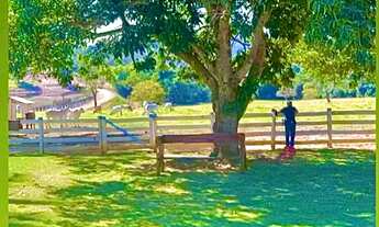 Imagem 4: Fazenda de 117 alqueires em Santa Cruz de Goiás