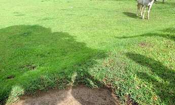 Imagem 7: TB - Vendo Terreno a partir 600m²