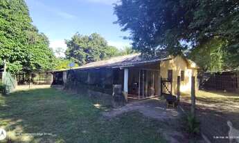 Imagem 2: Fazenda com 4 ALQUEIRE para venda possui 193.600 m² CASA SEDE com 2 quartos