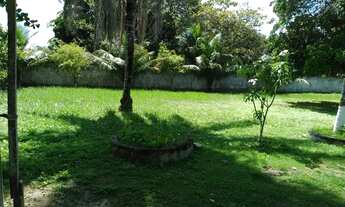 Imagem 4: Vende-se chácara