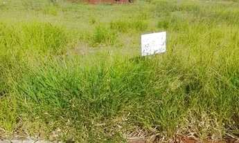 Imagem 4: Terreno jardim bela vida