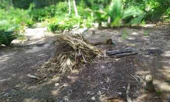 Imagem: Vendo este terreno no Pajuçara