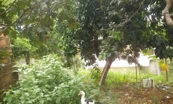 Imagem: ESO006 CASA PRA VENDA