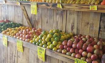 Imagem: Vendo Hortifruti