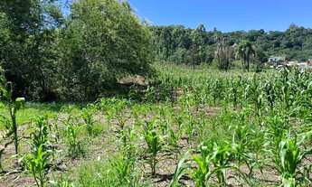 Imagem 4: Vendo Sítio com vista panorâmica