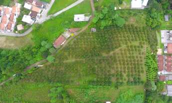 Imagem 4: Lote com 13.450m2 e excelente topografia - Nova Friburgo