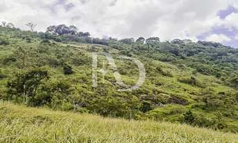 Imagem 4: Terreno à venda com 2,1701 hectares - Belmiro Braga - Minas Gerais