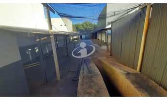 Imagem 7: Aluguel Terreno MARTINS