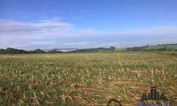 Imagem 4: FAZENDA EM ARAGOIANIA COM 32 ALQUEIRES